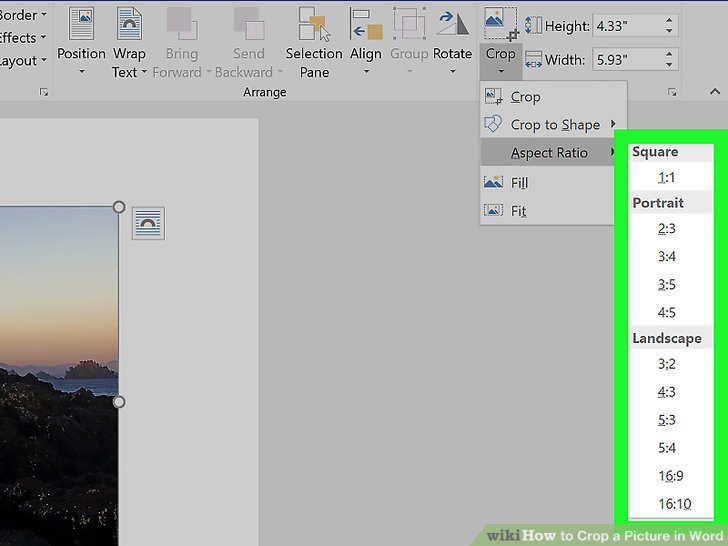 crop a picture in word for mac